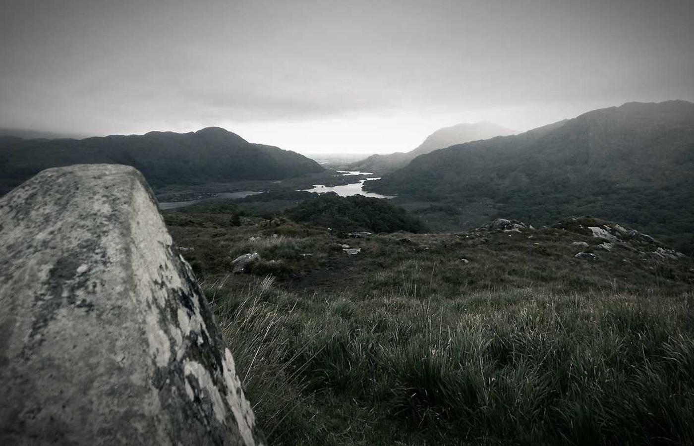 Retrato de Marta Pereira